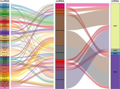 Comprehensive analysis of GINS subunits prognostic value and ceRNA network in sarcoma